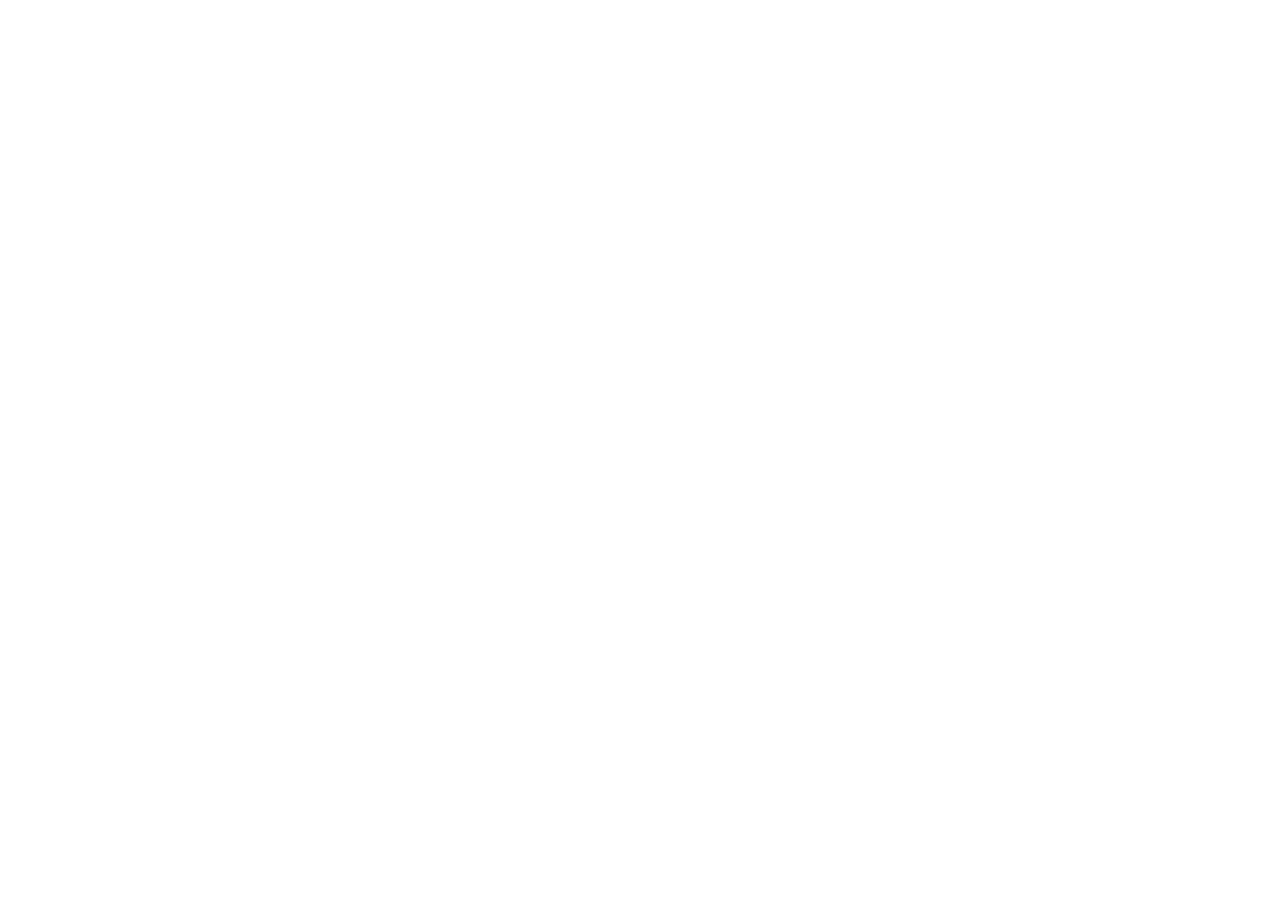 ACADEMIA LIDERLAB